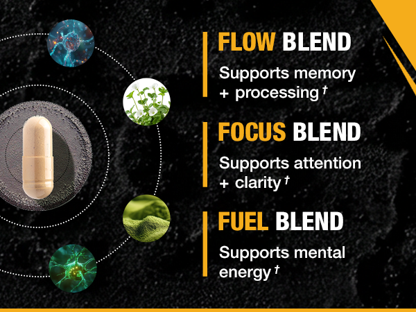 ONNIT Alpha Brain Nootropic Brain Supplement for Focus & Memory, 90 Count
