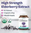 organic-elderberry-capsules---101-extrac-2.jpg