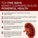dr-schulze-s-5-day-kidney-3.jpg