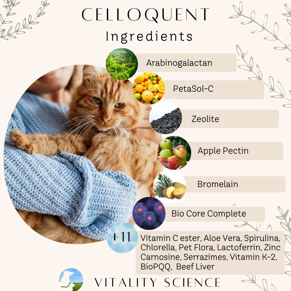 vitality-science-advanced-immune-restora-3.jpg