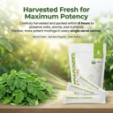moringa-powder-single-serve-packets-usda-5.jpg