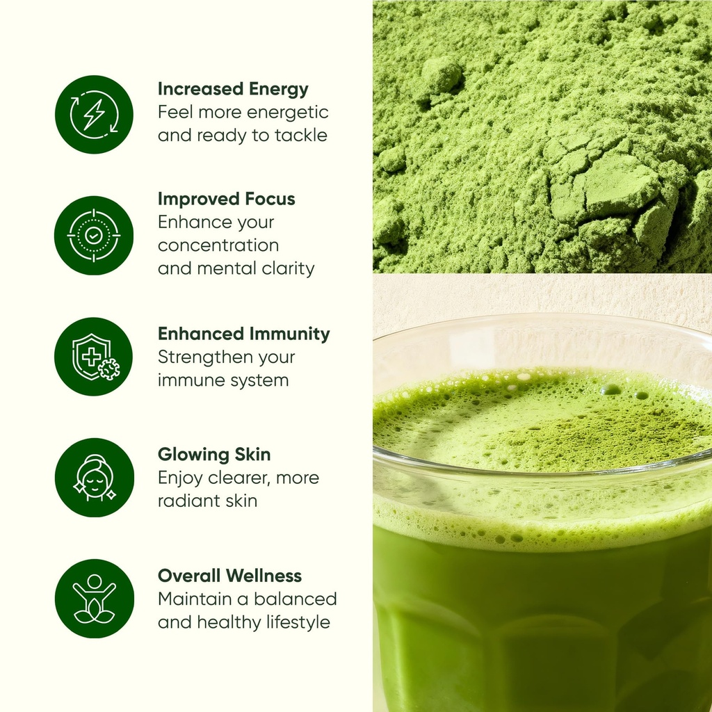 moringa-powder-single-serve-packets-usda-4.jpg