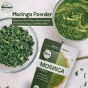 moringa-powder-16-oz-100-natural-non-gmo-3.jpg