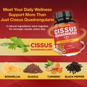 super-cissus-quadrangularis-extract-caps-4.jpg
