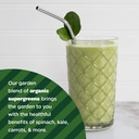manitoba-harvest-organic-hemp-supergreen-5.jpg