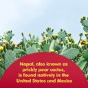 santo-remedio-nopal-will-powder-bundle-3.jpg
