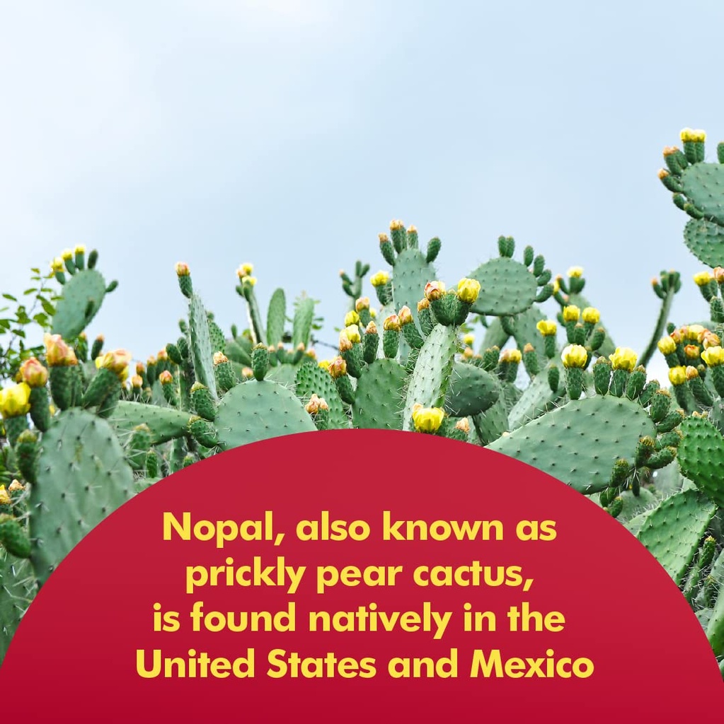 santo-remedio-nopal-retinol-intensive-re-3.jpg