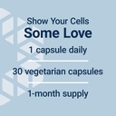 life-extension-geroprotect-autophagy-ren-5.jpg