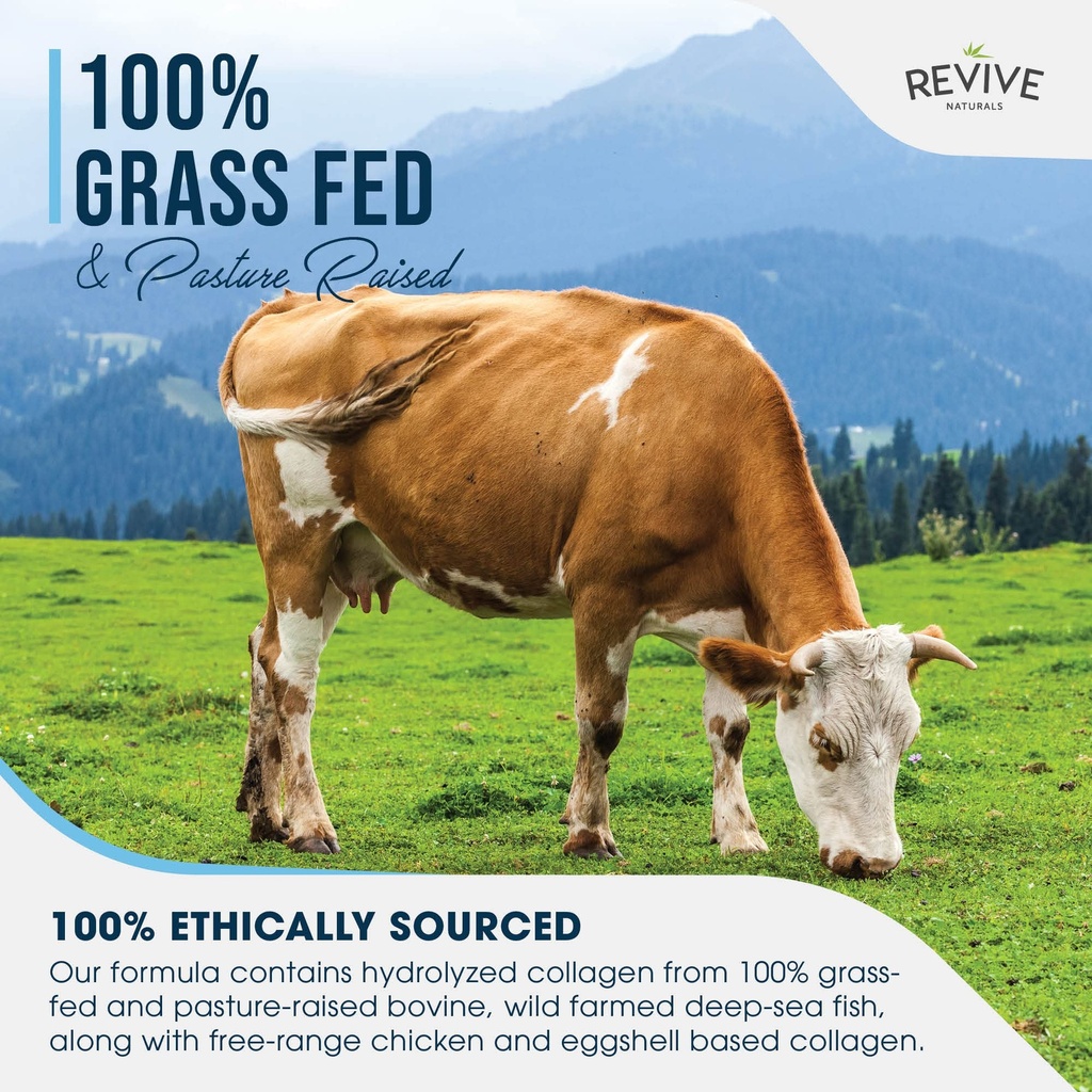 revive-naturals-multi-collagen-protein-c-4.jpg