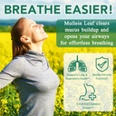 mullein-gummies-for-lung-detox-2000mg-mu-5.jpg