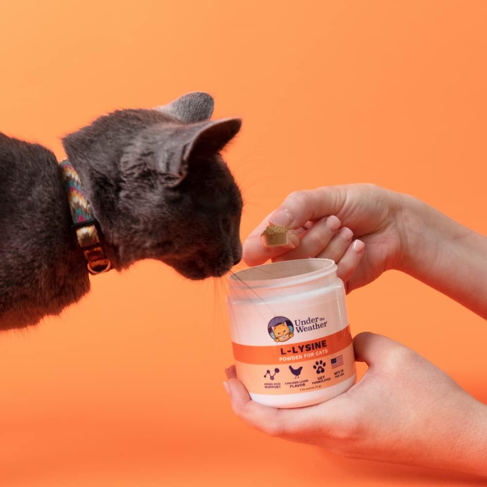 under-the-weather-pet-l-lysine-powder-ca-3.jpg