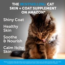 cat-skin-coat-health-hairball-support-bu-2.jpg