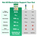 venture-pal-2-in-1-hydration-packets-gut-3.jpg