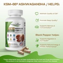 22-in-1-lions-mane-mushroom-supplement-w-6.jpg