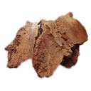 yamkay-arasampattai-powder-peepal-tree-b-6.jpg