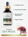 carlyle-sea-moss-liquid-drops-2-fl-oz-ve-4.jpg