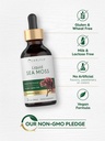 carlyle-sea-moss-liquid-drops-2-fl-oz-ve-5.jpg