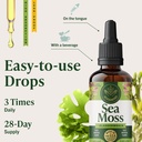 herbamama-irish-sea-moss-liquid-drops-ve-6.jpg