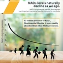 orgabay-liposomal-nicotinamide-riboside--3.jpg
