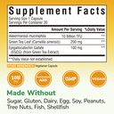 vitalibre-akkermansia-probiotic-10-billi-2.jpg