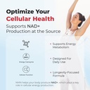 austinootropics-nmn-nicotinamide-mononuc-4.jpg