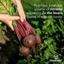 plantfusion-organic-fermented-beet-powde-4.jpg