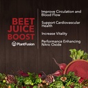 plantfusion-organic-fermented-beet-powde-3.jpg