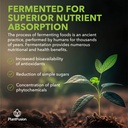 plantfusion-organic-fermented-beet-powde-5.jpg