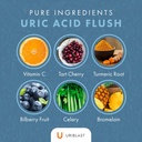 natural-uric-acid-support-supplement-cap-4.jpg