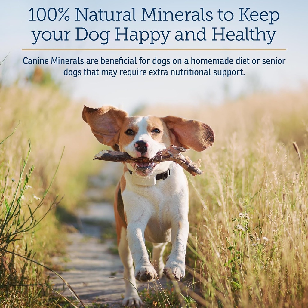 rx-vitamins-canine-minerals---essential--2.jpg