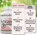 schizandra-berry-extract-101-standardize-4.jpg