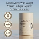 marine-collagen-peptides-wild-caught-typ-3.jpg