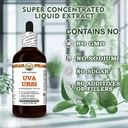 uva-ursi-arctostaphylos-uva-ursi-dry-her-6.jpg