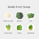 jshealth-pure-marine-collagen-powder-3g--3.jpg