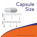 now-foods-l-tyrosine-500-mg-120-capsules-4.jpg