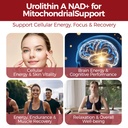 urolithin-a-supplement-with-trans-resver-2.jpg
