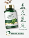 carlyle-senna-leaves-supplement-1350mg-1-5.jpg
