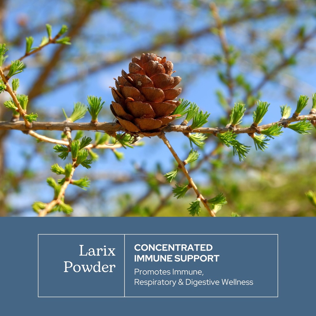 eclectic-institute-non-gmo-larix-immune--3.jpg