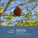 eclectic-institute-non-gmo-larix-immune--3.jpg