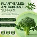 ingreens-liposomal-sulforaphane-500mg-su-2.jpg