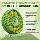 ingreens-liposomal-sulforaphane-500mg-su-4.jpg
