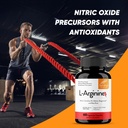 sandhus-l-arginine-with-nitric-oxide-pre-6.jpg
