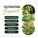 smnutrition-advanced-dim-complex-with-cd-2.jpg