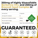 mara-labs-berbelite-350mg-berberine-hcl--2.jpg