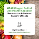 paradise-herbs-orac-energy-proteins-gree-3.jpg