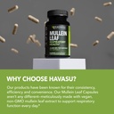 mullein-leaf-capsules-for-respiratory-he-5.jpg