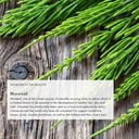 anima-mundi-apothecary-vegan-collagen-bo-4.jpg