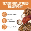 force-factor-modern-mushrooms-soft-chews-2.jpg