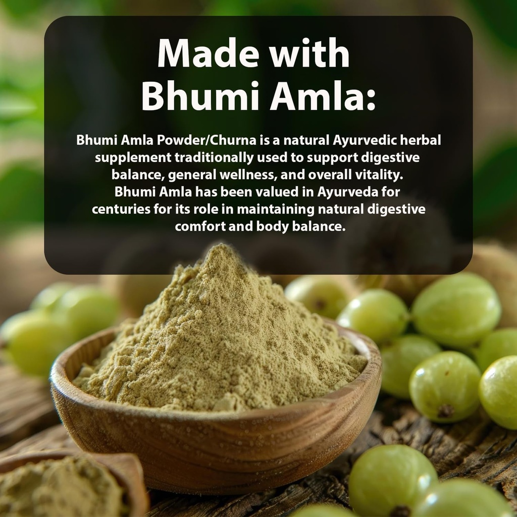 bhumi-amla-powder-churn-organic-and-pure-3.jpg
