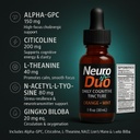daily-cognitive-tincture-30ml-sour-orang-6.jpg